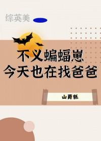 天穹之野，逆行者的圣歌封面