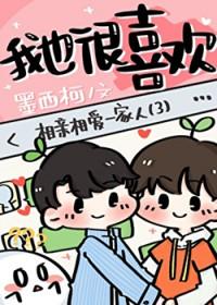 白马银枪高太尉封面