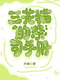基金会那些故事封面