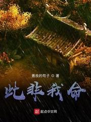 被召唤者的圣战封面