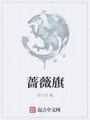 承天八索封面