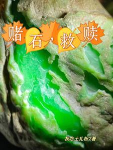 落难锦鲤被鬼欺封面
