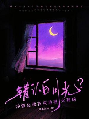 半岛2017，系统活在过去？封面