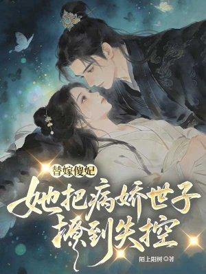 无然是什么意思封面