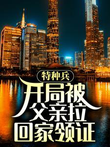 微不足道封面
