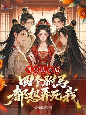 双生锦封面