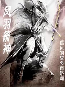 大周第一武夫封面