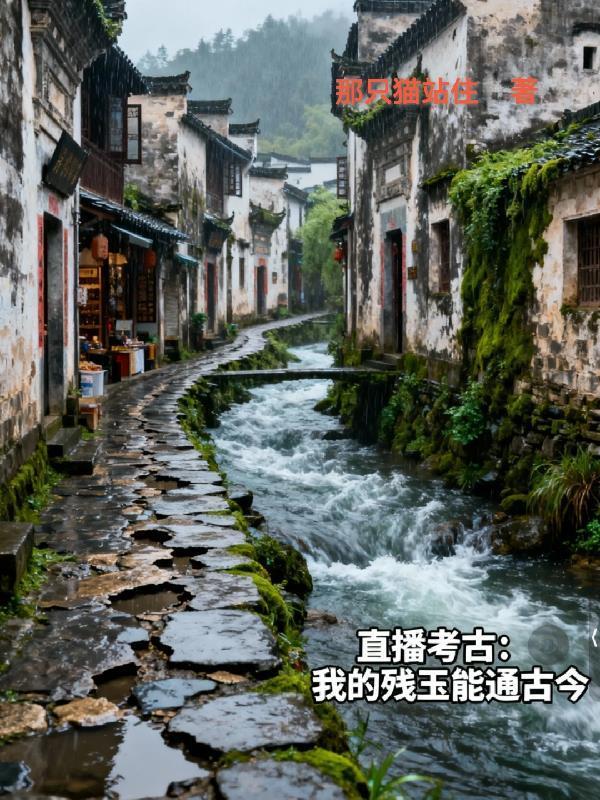 赛博都市，从雇佣兵开始封面