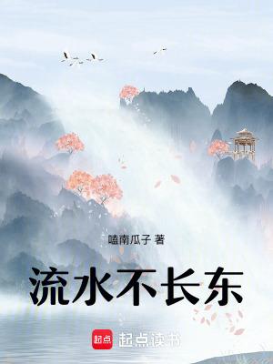 遗落的终章封面