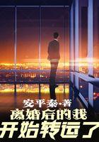 明末之白衣天子封面