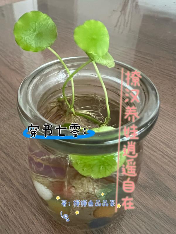 黄泉生死诀封面