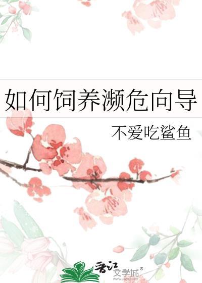 九零大美人领航股市