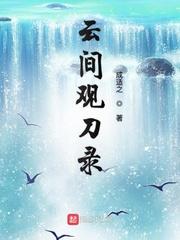 云间观刀录