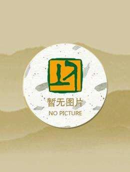 崇祯本纪