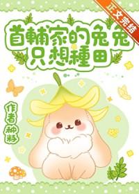 宋小雪和肖强全集阅读