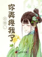 十二岁金科状元,权倾朝野!