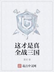这才是真全战三国