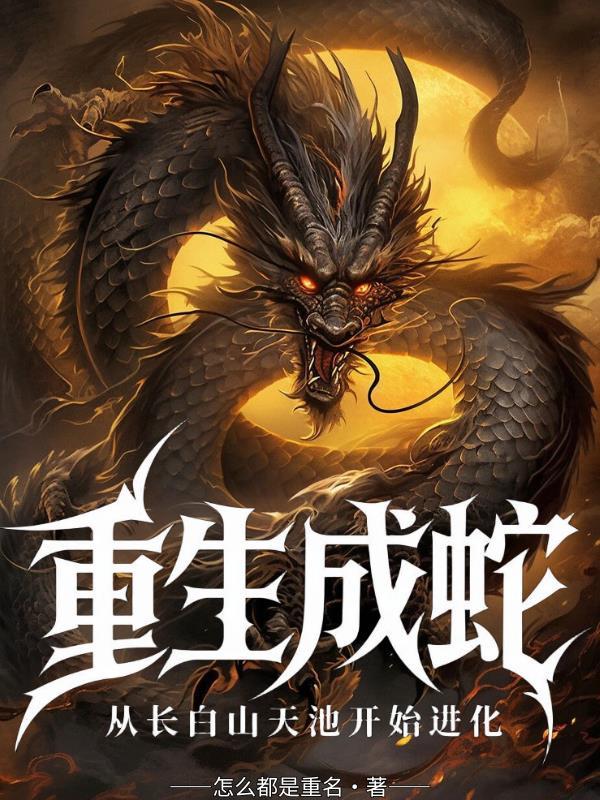 出口烟花系列