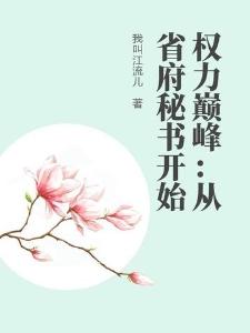 权力巅峰从省府秘书开始李承