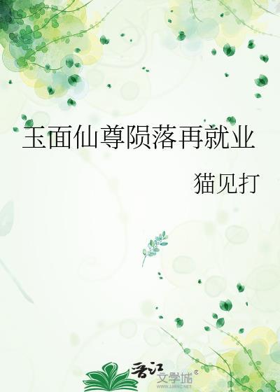 S级向导工作报告