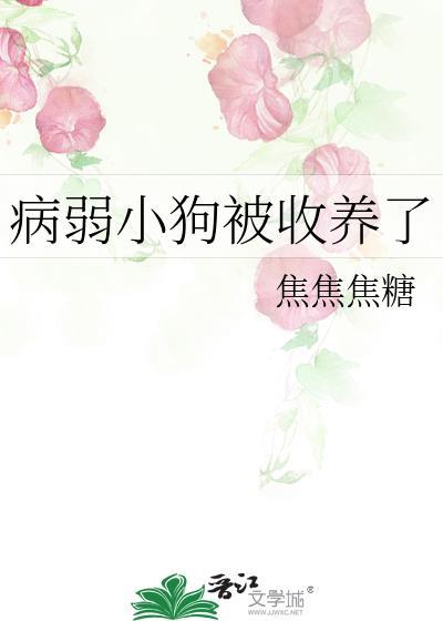 披上我的原神马甲