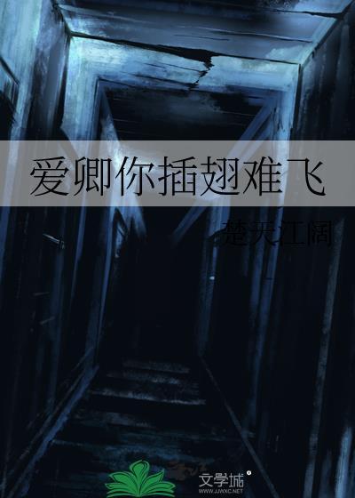 江湖遍地是奇葩