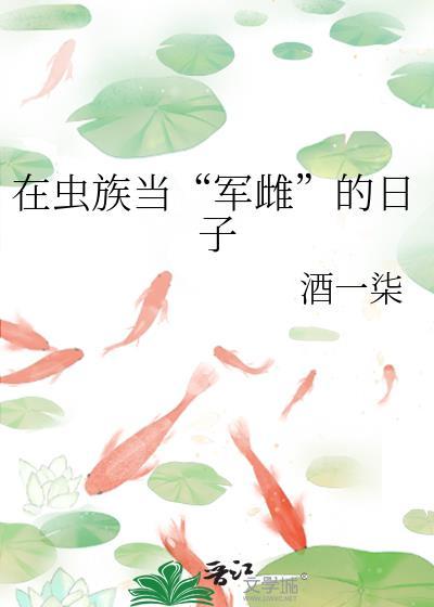 打赌